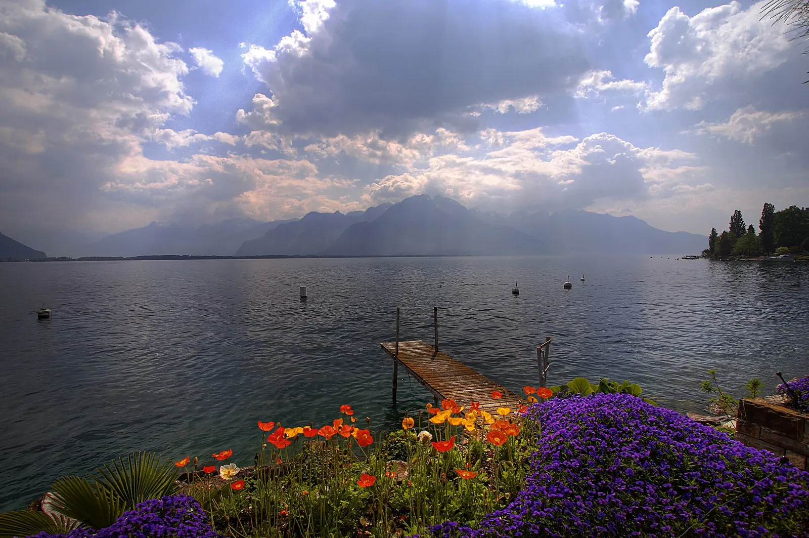 Lavaux vineyards above Lake Geneva, Vaud