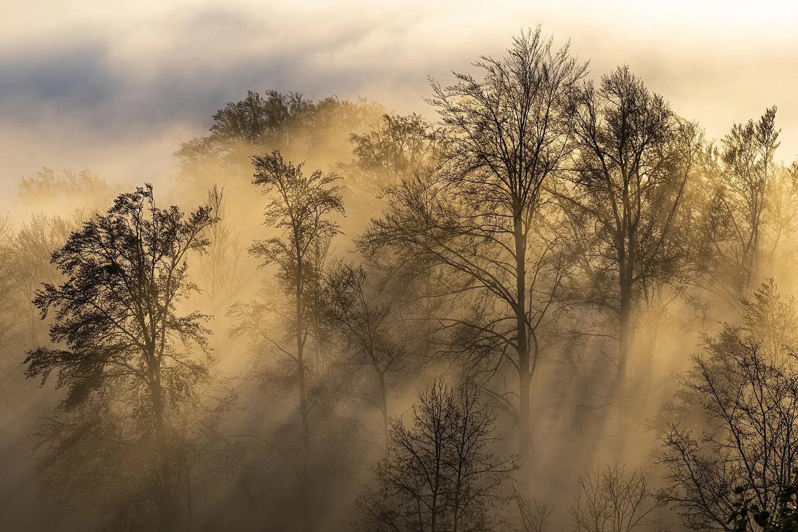 Uetliberg, Zurich's local mountain