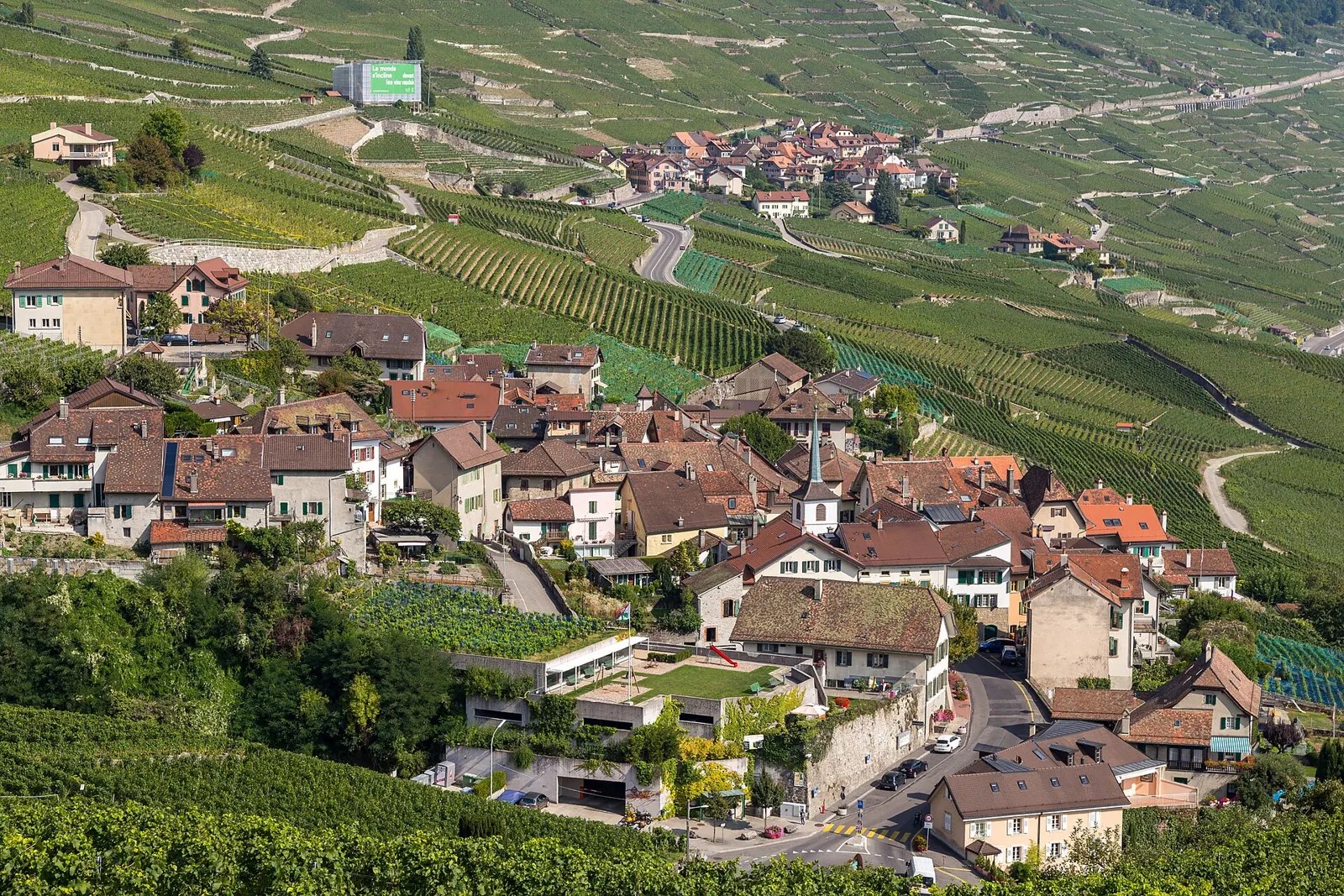 Vineyard path through Lavaux near Epesses